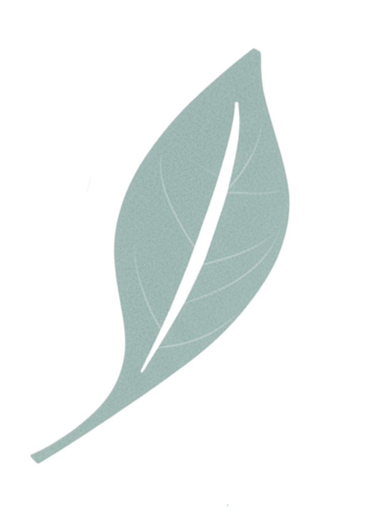 via naturale alla relazione